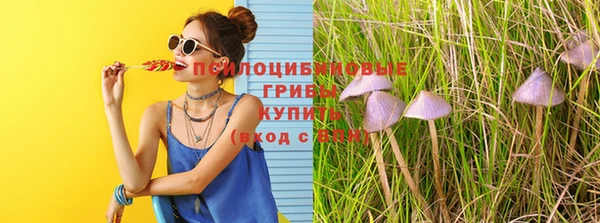 трава Куйбышев