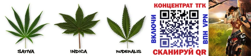 Купить где Амурск Дистиллят ТГК THC oil